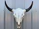 Buffalo Bull Skull 23 Inch Wide Horn American Bison Mounted Head Tatonka