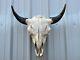 Buffalo Bull Skull 24 1/2 Inch Wide Horn American Bison Mounted Head Tatonka