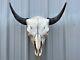 Buffalo Bull Skull 24 1/2 Inch Wide Horn American Bison Mounted Head Tatonka