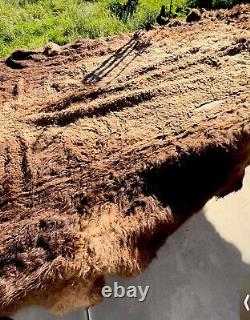 Buffalo Hide Rug,'Extra Large' Premium Winter Coat Tanned Bison Rug HUGE Pelt
