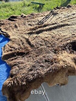 Buffalo Hide Rug,'Extra Large' Premium Winter Coat Tanned Bison Rug HUGE Pelt