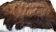 Buffalo Hide Rug,'Large' Premium Winter Coat Tanned Bison Rug, Made In The USA