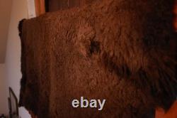 Buffalo Hide Rug,'Large' Premium Winter Coat Tanned Bison Rug, Made In The USA
