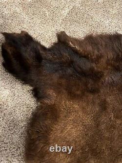 Buffalo Hide Rug,'Large' Premium Winter Coat Tanned Bison Rug, Made In The USA