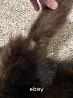 Buffalo Hide Rug,'Large' Premium Winter Coat Tanned Bison Rug, Made In The USA