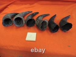 Buffalo Horns Bison Horns 8 to 11 from tip to base #3 Single Horns not pair