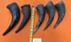 Buffalo Horns Bison Horns 9 to 11 from tip to base #11 Single Horns not pair