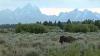 Buffalo People Of The Teton Lakota