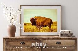 Buffalo Photography Print Vintage Style Picture of Bison in Oklahoma