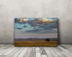 Buffalo Photography home decor western landscape wall art picture nature