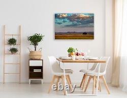 Buffalo Photography home decor western landscape wall art picture nature