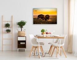 Buffalo Photography print scenic western wall art picture nature home decor