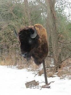 Buffalo Shoulder Mount/taxidermy/bison/hide/real S1