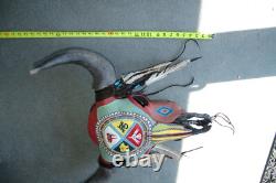 Buffalo Skull Art Native American Artist Mouka G2U