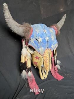 Buffalo Skull, Bison Skull, Painted, Ghost Dance, Native American