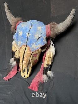 Buffalo Skull, Bison Skull, Painted, Ghost Dance, Native American