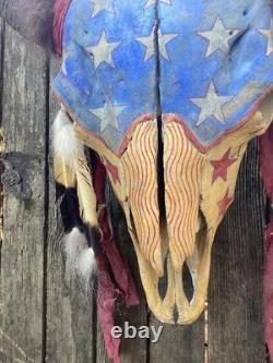 Buffalo Skull, Bison Skull, Painted, Ghost Dance, Native American