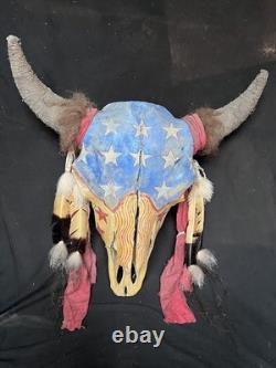 Buffalo Skull, Bison Skull, Painted, Ghost Dance, Native American