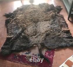 Buffalo bison Hide Robe, thick winter coat, excellent condition