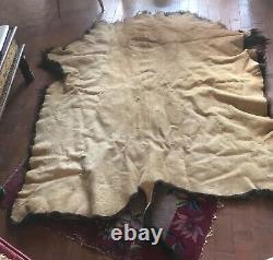 Buffalo bison Hide Robe, thick winter coat, excellent condition