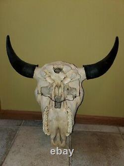 Buffalo bison skull