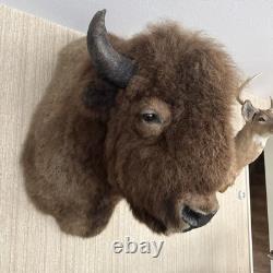 Buffalo head mount taxidermy bison