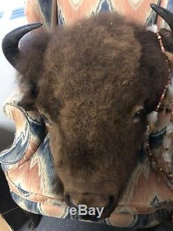 Buffalo head mount/taxidermy/bison/real