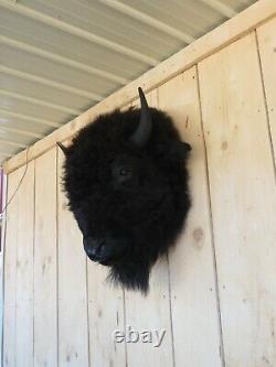 Buffalo head mount/taxidermy/bison/real 1