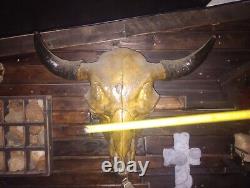 Buffalo skull XL