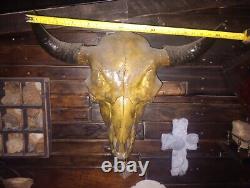 Buffalo skull XL