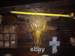 Buffalo skull XL