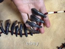 Buffalo tooth necklace Native American made Mountain Man rendezvous bison teeth