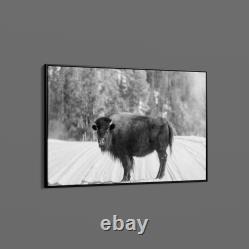 Carol Highsmith American Bison Yellowstone National Park Wyoming Art Print