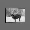 Carol Highsmith American Bison Yellowstone National Park Wyoming Art Print