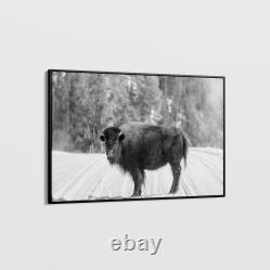 Carol Highsmith American Bison Yellowstone National Park Wyoming Art Print