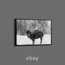 Carol Highsmith American Bison Yellowstone National Park Wyoming Art Print