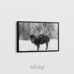 Carol Highsmith American Bison Yellowstone National Park Wyoming Art Print