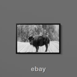 Carol Highsmith American Bison Yellowstone National Park Wyoming Art Print