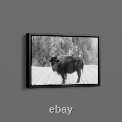 Carol Highsmith American Bison Yellowstone National Park Wyoming Art Print Carol Highsmith American Bison Yellowstone National Park Wyoming Art Print