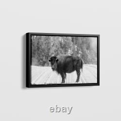 Carol Highsmith American Bison Yellowstone National Park Wyoming Art Print