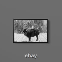Carol Highsmith American Bison Yellowstone National Park Wyoming Art Print
