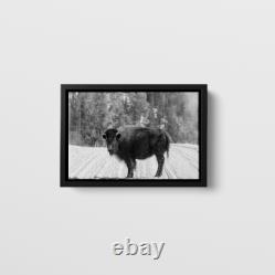 Carol Highsmith American Bison Yellowstone National Park Wyoming Art Print