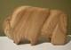 Cochiti Bison Fetish Carving By Wilson Romero 6.5 X 3.5
