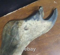 Complete Fossil Bison Mandible Jaw Bone, Pleistocene, Iowa, River Find Huge 17