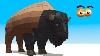 Cube Builder For Kids Hd Build A Bison For Children Aapv