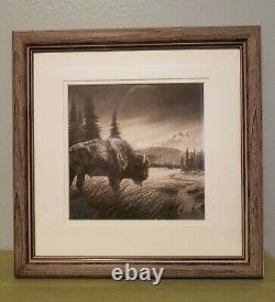 David Bjurstrom Original Framed Graphite Pencil Art American Bison 15.5 x 15.5