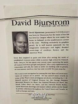 David Bjurstrom Original Framed Graphite Pencil Art American Bison 15.5 x 15.5