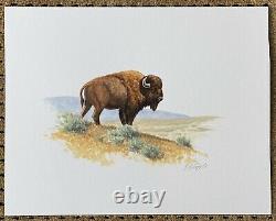 David Chapple NFL Football Yellowstone Buffalo Bison Signed Watercolor Painting