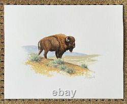 David Chapple NFL Football Yellowstone Buffalo Bison Signed Watercolor Painting