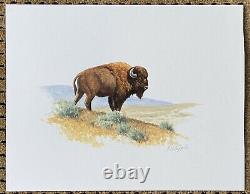 David Chapple NFL Football Yellowstone Buffalo Bison Signed Watercolor Painting